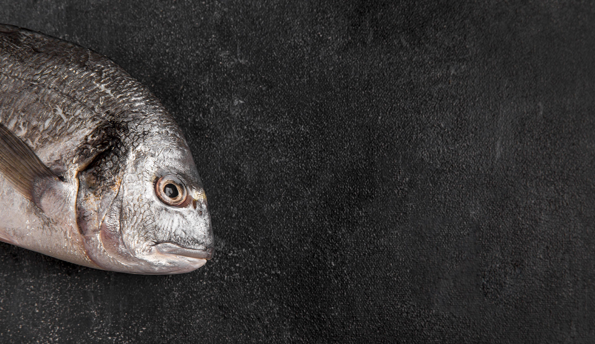 Frozen Gourmet Pesce in provincia di Nuoro e Ogliastra